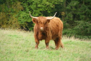 Myerscough College Open Day